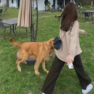 牧师的结局